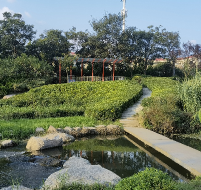 中韩街道牟家社区东山路化工程